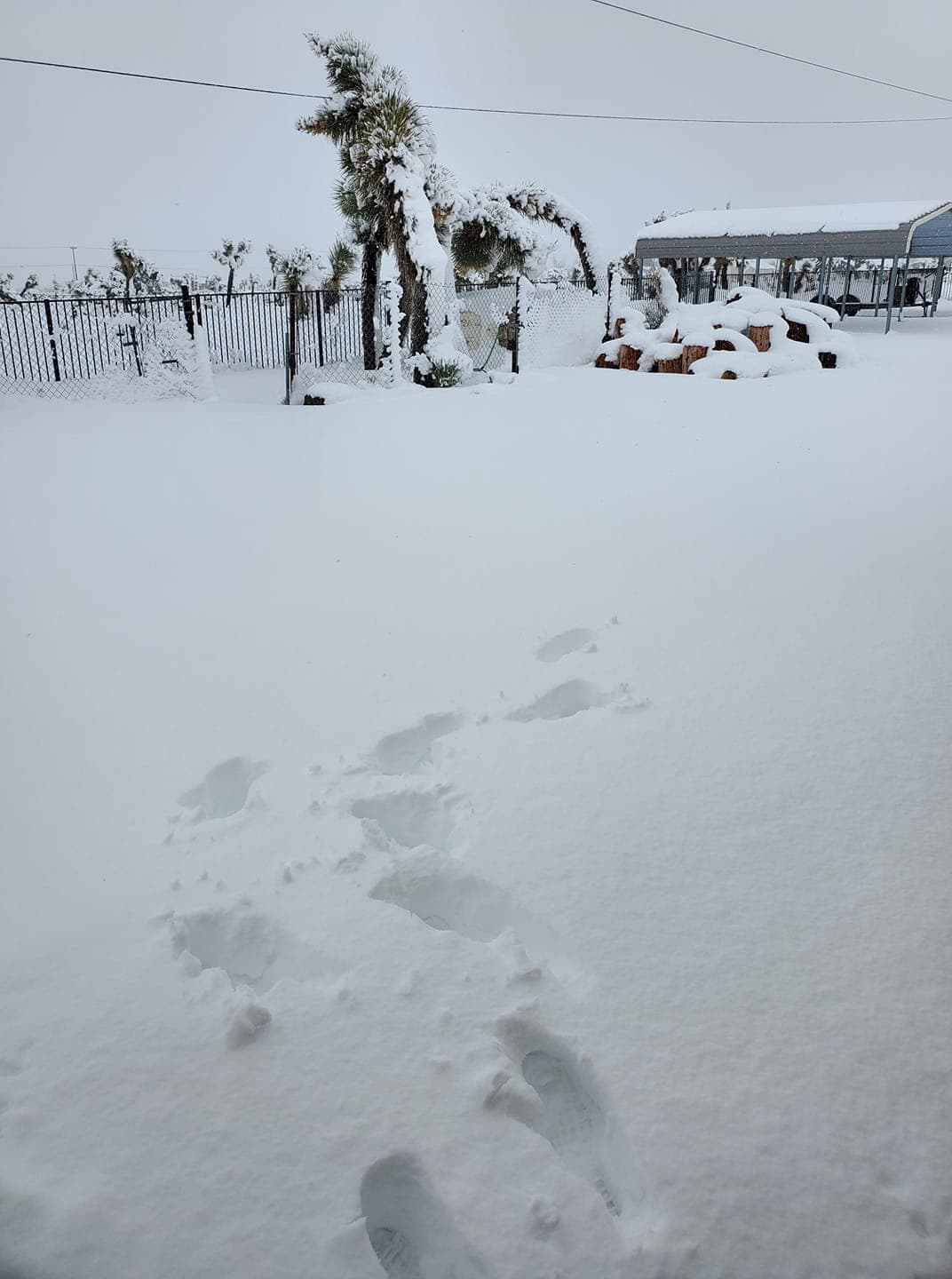 La acumalizión de nieve hizo que se complira la movilización en Phelan, California. Foto de Lizette Gómez.