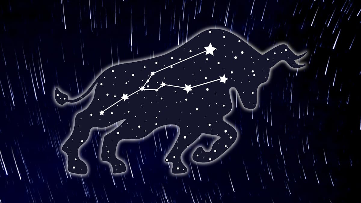 Nos llega otro gran espectáculo astral, con la lluvia de estrellas táuridas que tendrán su más grande esplendor las noches del 11 y 12 de noviembre, pero también como preámbulo de las Leónidas, que podremos apreciar toda la semana hasta el 17 o 18 cuando estén en su máximo punto.