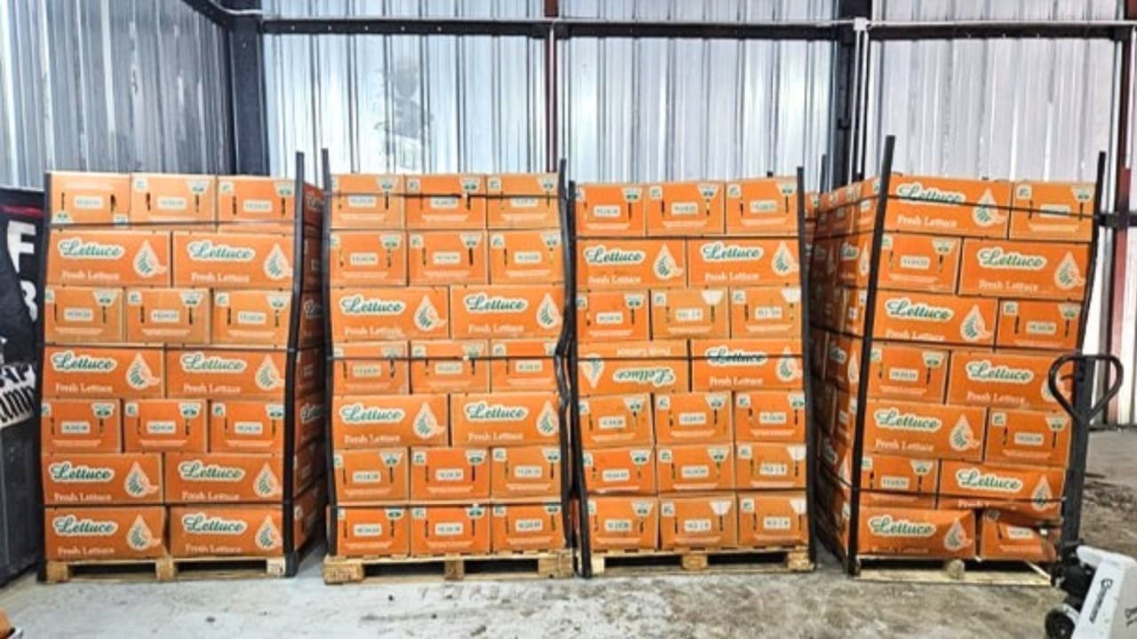 El sospechoso fue identificado como Arturo Leija Alvarado, de 43 años, quien era el cabecilla de una organización que traficó más de mil kilos de metanfetamina de México hacia San Antonio, donde se vendía y distribuía la droga.