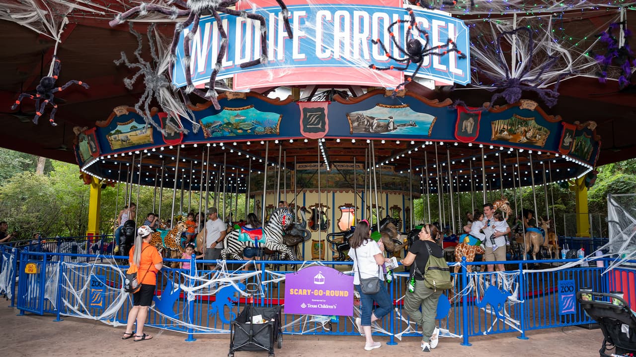 No todos los viernes serán iguales. Cada jornada se enfocará en un área de un animal diferente.