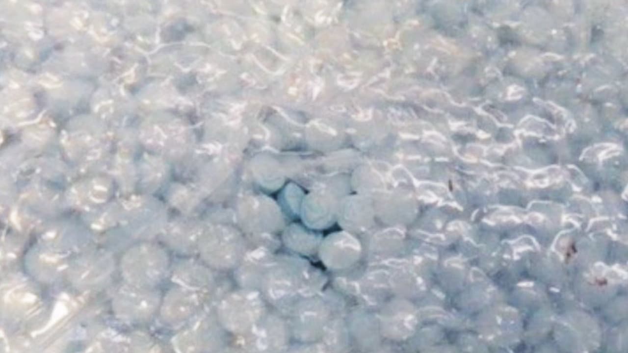 En total eran 290,000 pastillas de fentanilo.