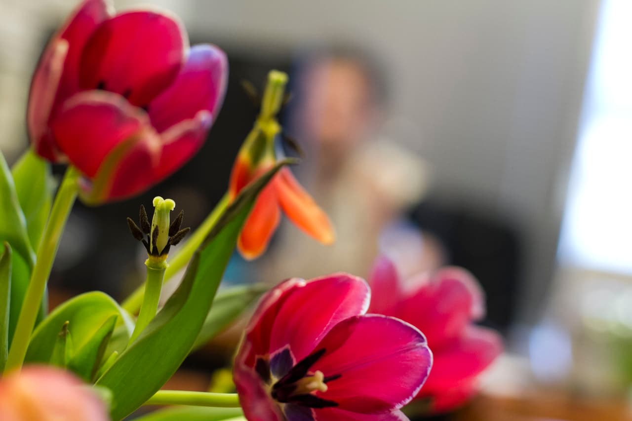 David Ríos captó lo que pasa detrás de bambalinas en Univision Austin.