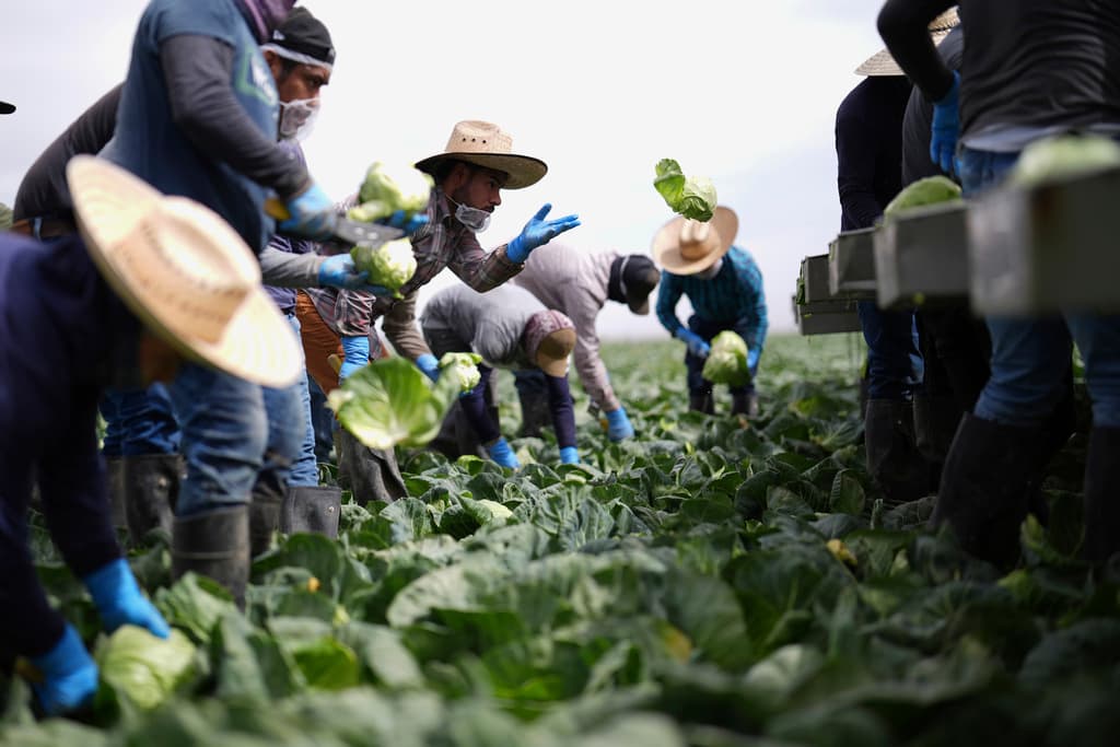 “La lucha va a seguir”: agricultores reaccionan a la decisión de un juez que declaró ilegal el recorte a sus salarios