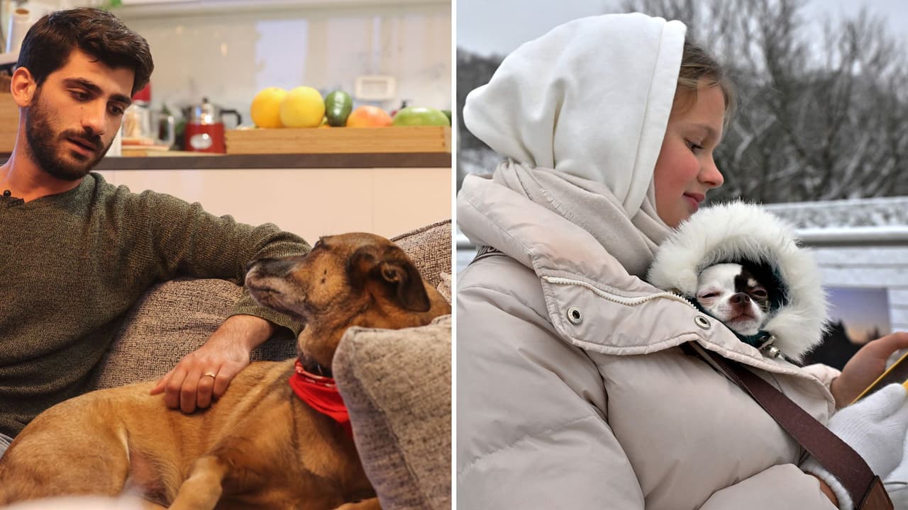 ‘Rara’ enfermedad está atacando a los perritos: así debes cuidar a tu mascota.