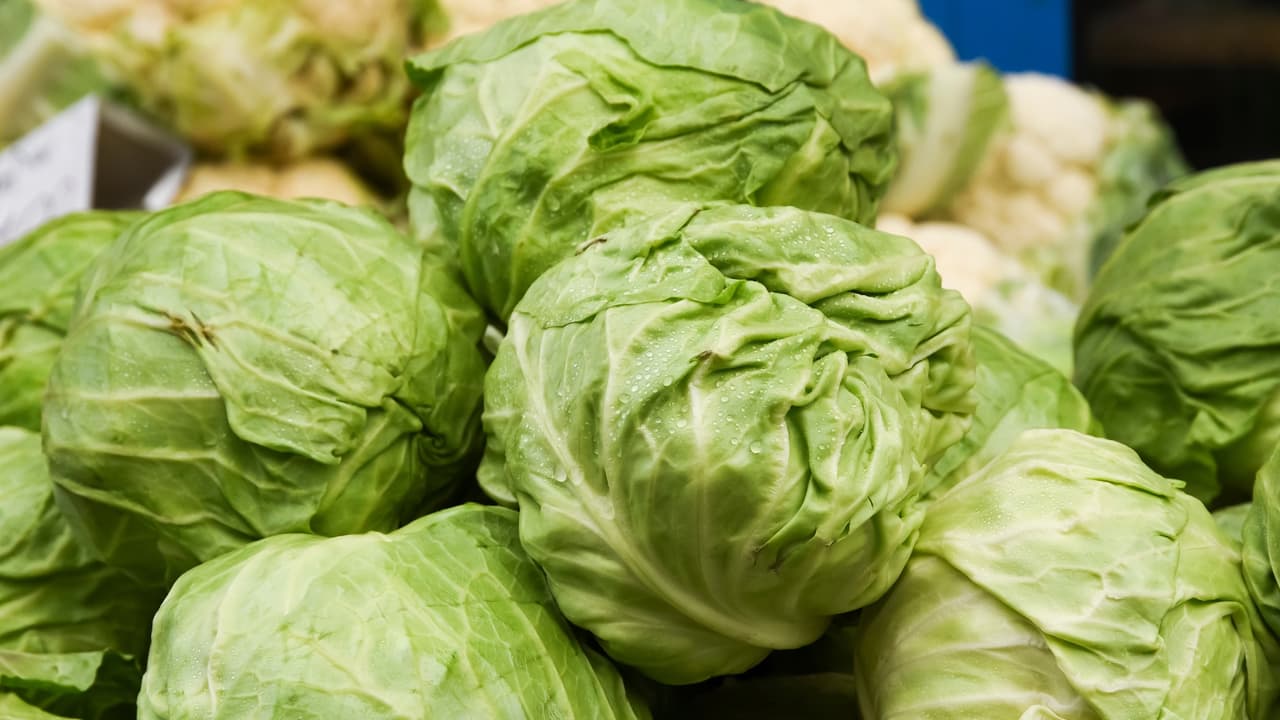Nueva Jersey pide desechar lechuga posiblemente contaminada con ciclospora causante de diarrea