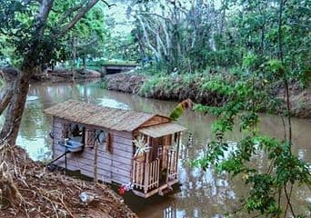 Como cada año, cientos de personas de la zona norte de Puerto Rico se juntan en este pintoresco festival.