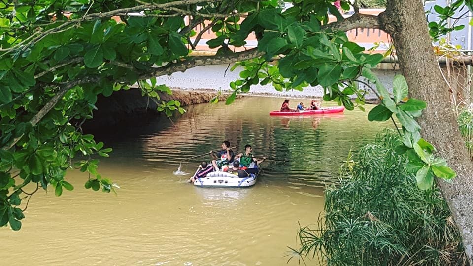 Es un evento sano que se convierte en un pasadía familiar pasadía familiar. Hay además, áreas de acampar y se celebran competencias de salto desde el puente Los Franceses hasta el Rio Camuy.