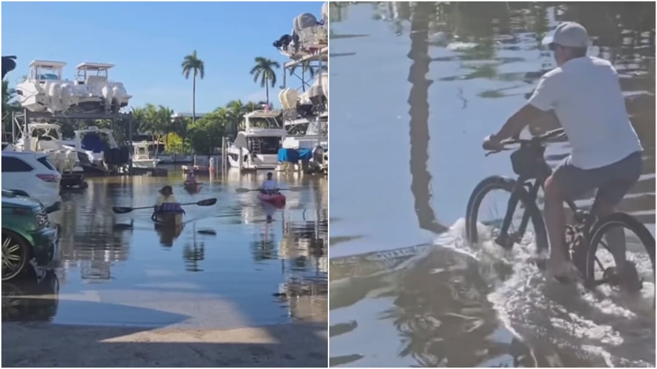 Mantienen avisos y alertas por inundaciones en zonas del sur de Florida por Marea del Rey