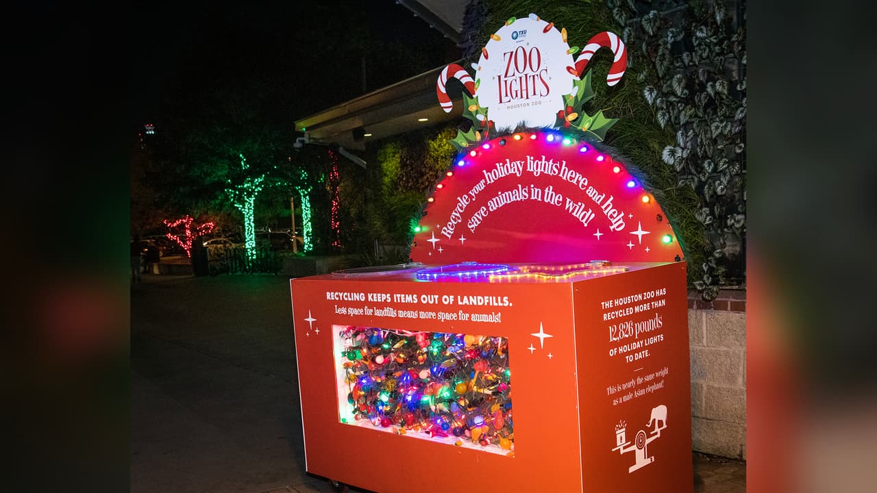 La iluminación LED es ecológica e ilumina los senderos y árboles del zoológico.