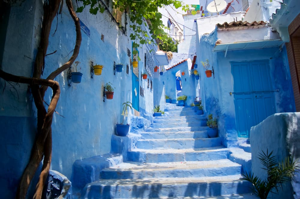 <b>GÉMINIS</b>
<br>Sal un poco de tu zona de confort y, aunque te encante hablar y comunicarte con todos, lánzate a la aventura a un lugar donde no conozcas el idioma. Así que ármate con tu diccionario, una pequeña maleta y aprende de otras culturas, como por ejemplo, en Marruecos o Singapur.