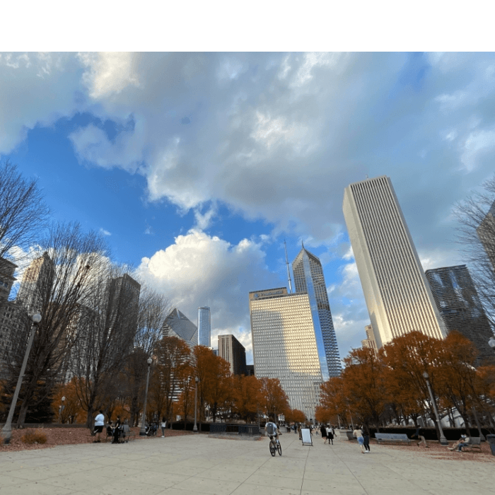 El centro de Chicago.