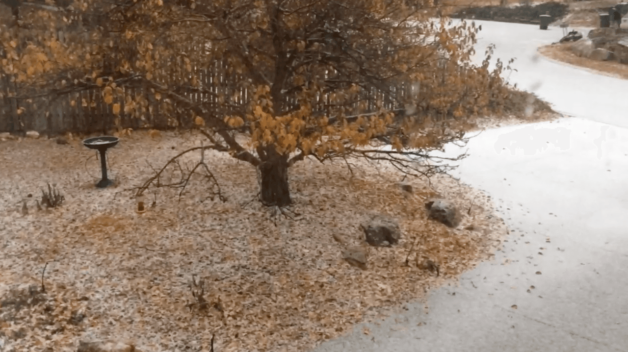 La llegada del invierno ha traído caída de nieve en zonas como Flagstaff y los visitantes deben tomar precauciones al conducir en estas condiciones climáticas.
<br>