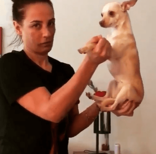 No sólo juega con sus peluditos, también canta y baila con ellos.