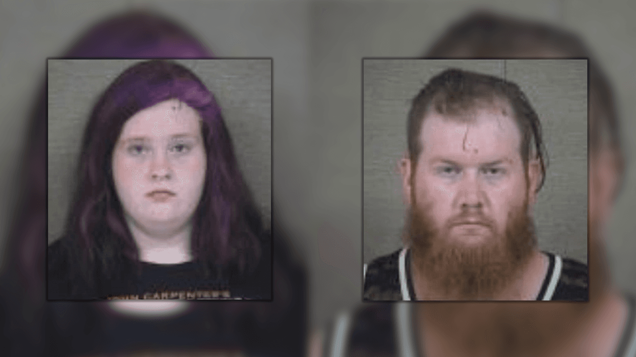 Hallan el cuerpo de un bebé recién nacido enterrado en un jardín: padres acusados de asesinato