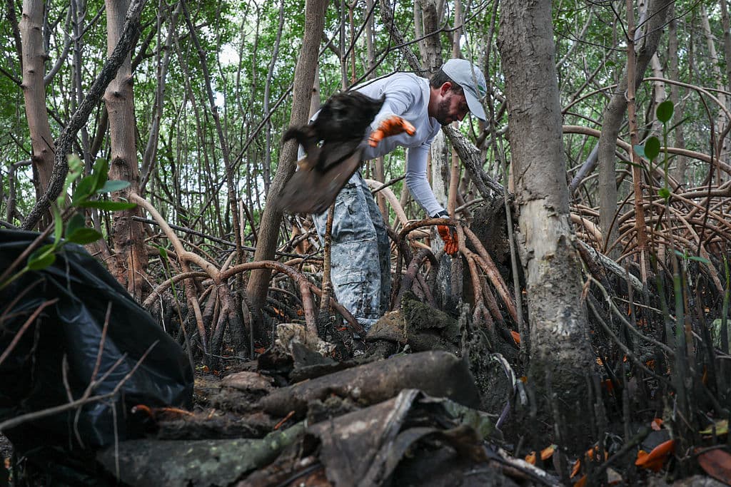MIAMI, FLORIDA - APRIL 22: Andrew Otazo pulls trash out of a mangrove forest on Virginia Key on April 22, 2025 in Miami, Florida. Andrew said he has been collecting trash from the Florida coastal ecosystem for 8 years so far. He hopes to make the environment a better place for future generations. Over the years, he has gathered approximately 15 tons of trash that originated from the nearby city, passing boats and other inadequate trash disposal methods. (Photo by Joe Raedle/Getty Images)