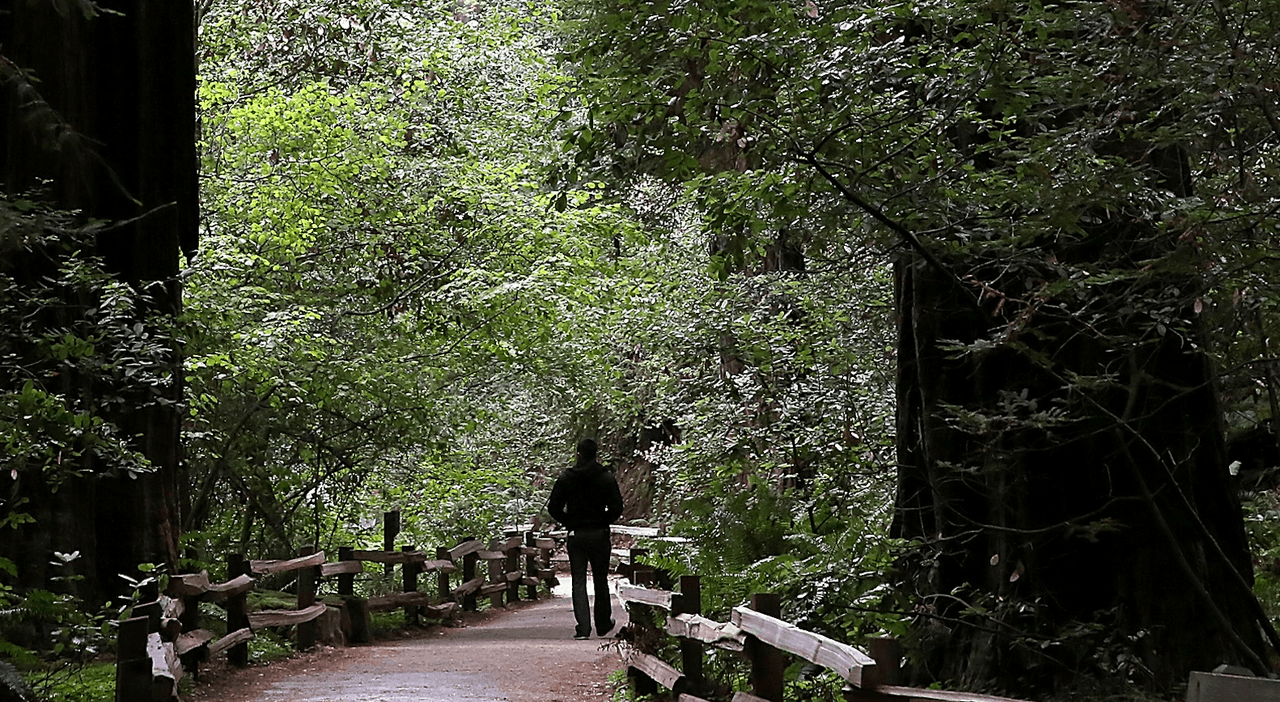 Buscan a sospechoso de tocar los glúteos a una mujer y exponerse de forma indecente frente a ella