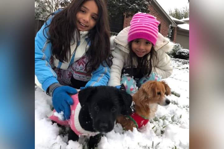 Muchos aprovecharon el raro evento para tomarse fotos, jugar con la nieve y construir el tradicional muñeco navideño.