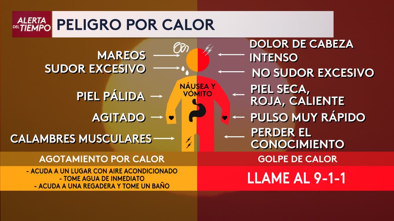 La exposición prolongada al sol también aumenta el riesgo de cáncer de piel, mientras que durante el ejercicio debemos vigilar la temperatura corporal y señales de sobrecalentamiento como mareo, dolor de cabeza, náusea, debilidad o confusión.