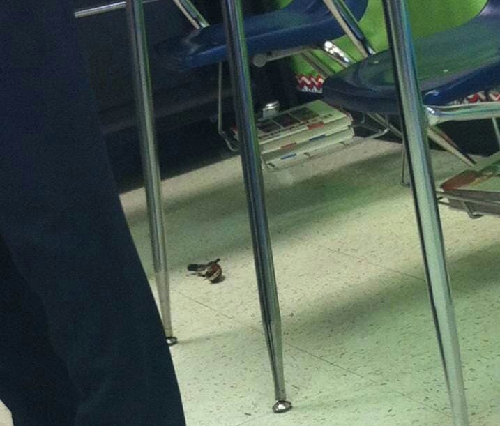 Caos en escuela en Texas cuando un alumno disparó un arma accidentalmente