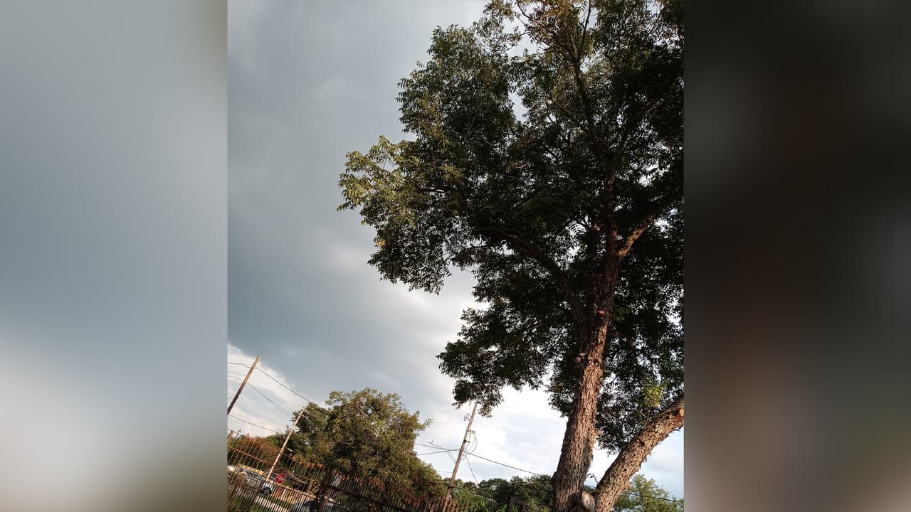 Lupitha Pérez compartió esta fotografía