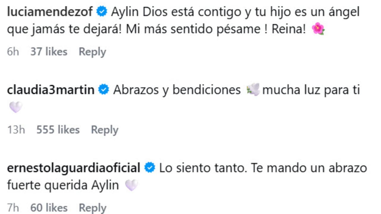 Muchos colegas de Aylín Mujica respondieron así al mensaje que la actriz le dedicó a su hijo mayor horas después de su repentina muerte.
