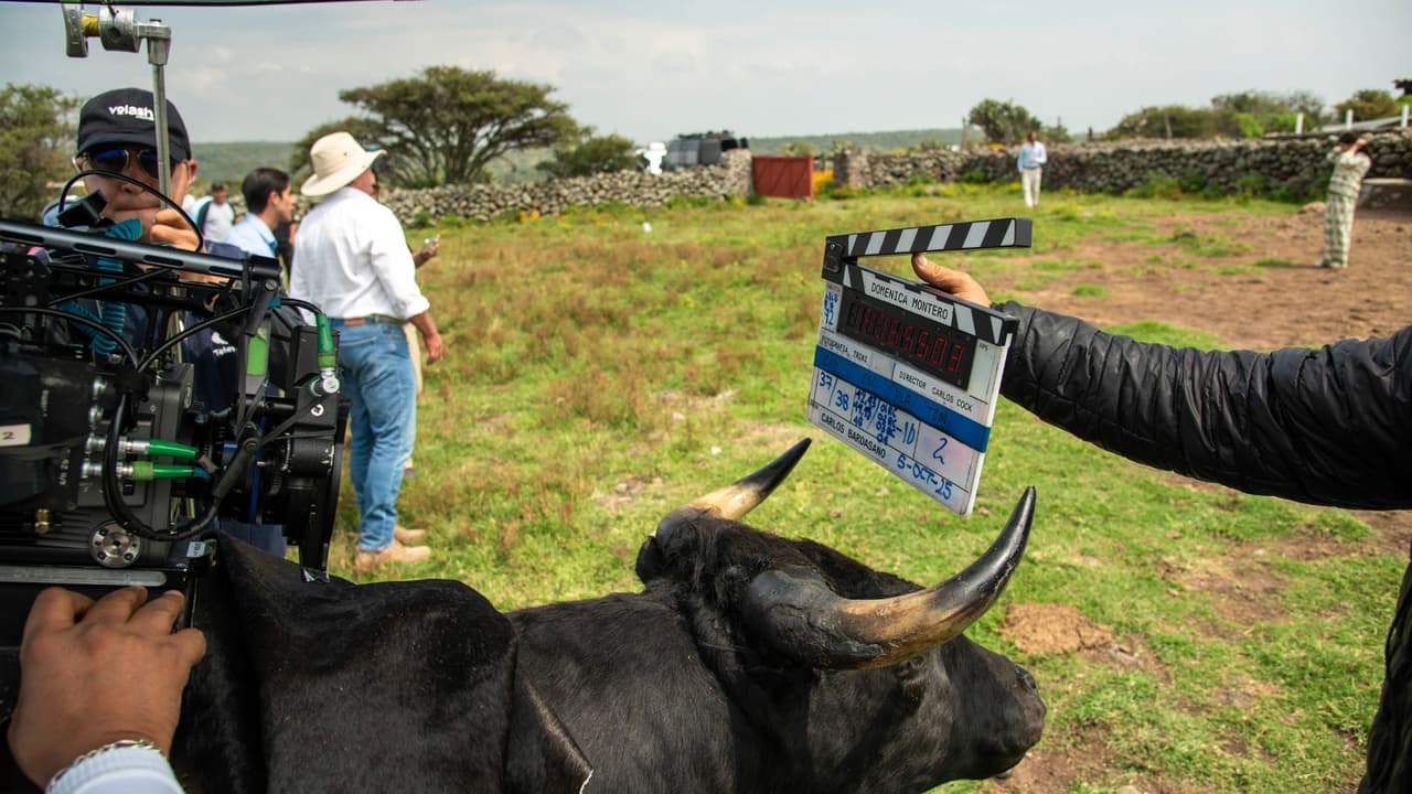 Y aquí puedes ver al 'toro' listo para grabar su escena.