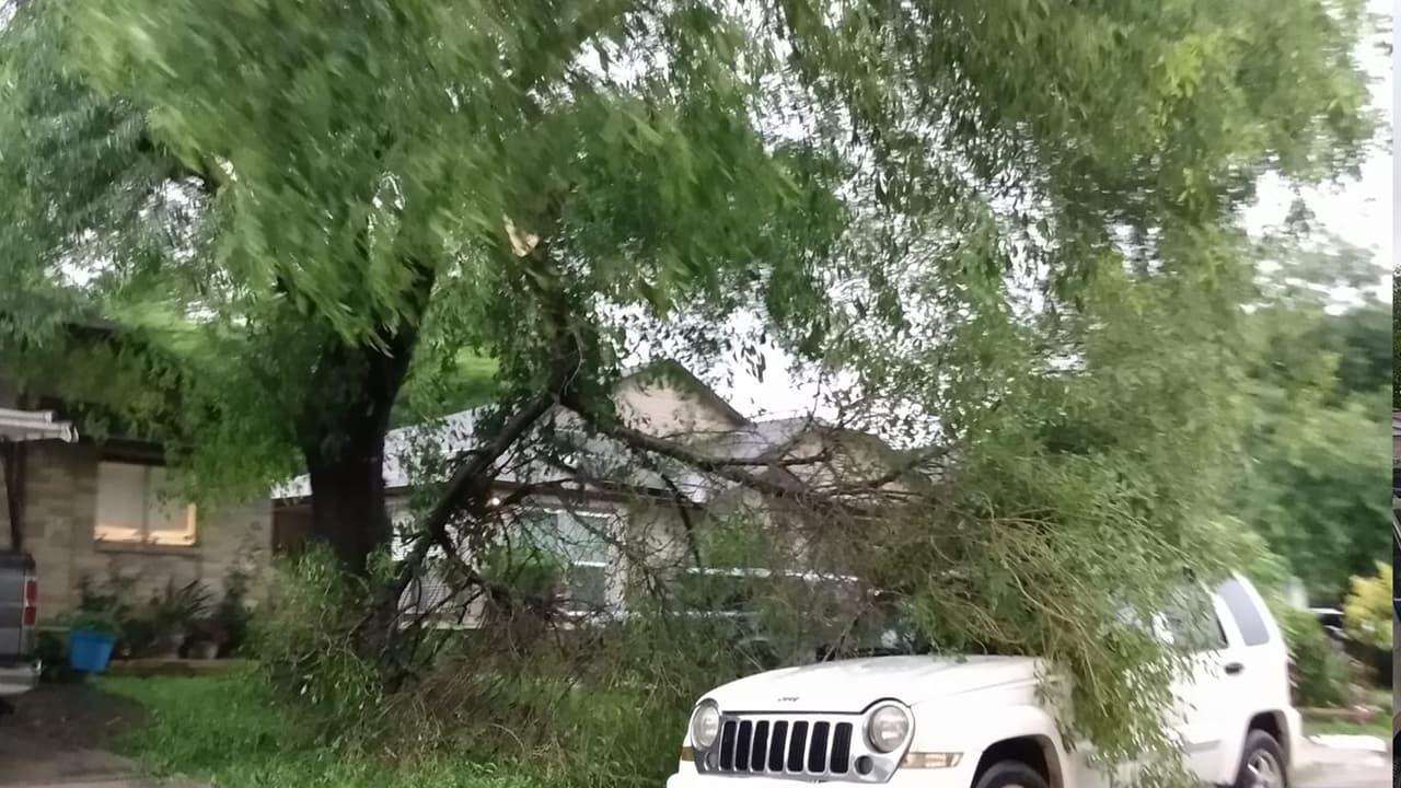 Las caídas de árboles provocaron el corte de electricidad en miles de hogares en Houston.