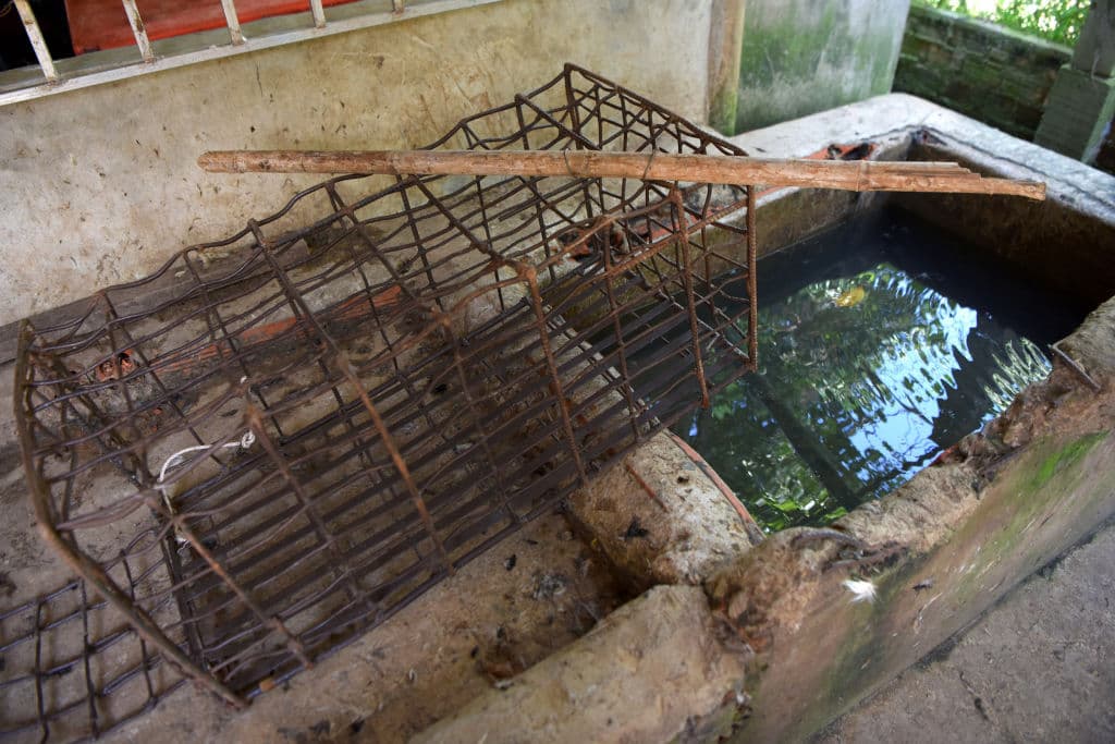 Primero la obligaron a vivir en una jaula para perros, después encadenada en un baño. Todos los años que duró su infierno estuvo desnuda, con acceso limitado a comida y era víctima de golpizas con cintos, además su padrastro abusaba sexualmente de ella.