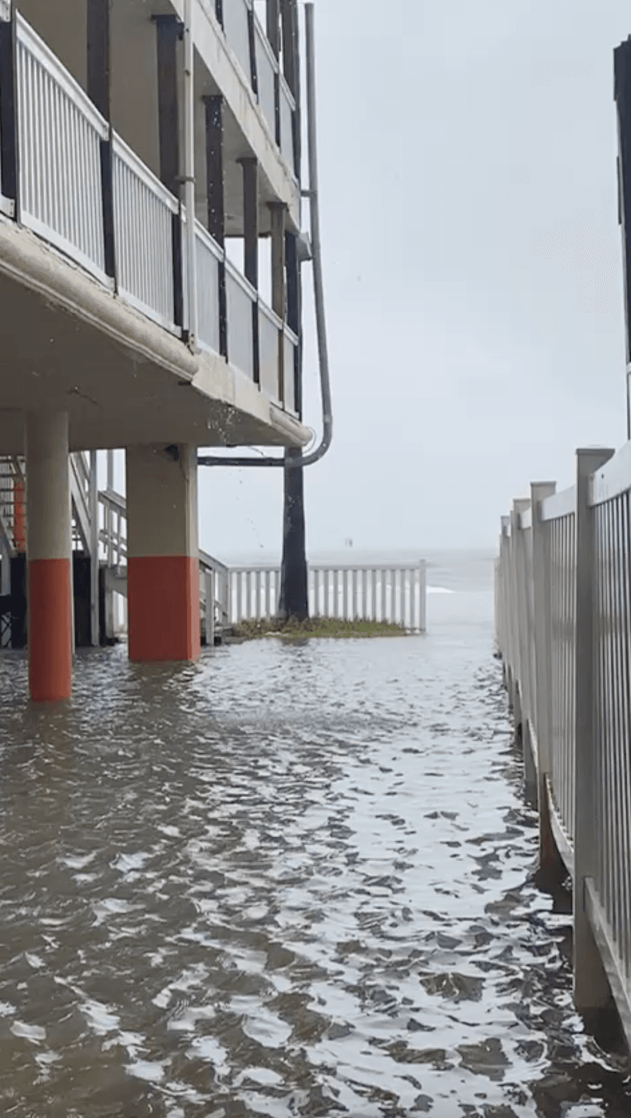 Estas son las imágenes que compartió la familia, justo frente al mar en Corpus Christi.