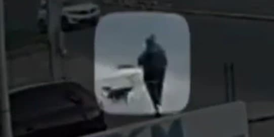 Videos de una cámara de seguridad consultados por
<i>Noticias Univision 14</i> muestran a Mónica caminando con su perro frente a un gimnasio de nombre ‘Fit 4 Life’. Un minuto después, cuando Mónica ya no aparece a cuadro, la cámara enfoca
<a href="https://www.univision.com/local/san-francisco-kdtv/monica-de-leon-san-mateo-california-desaparecida-secuestro-jalisco-mexico">varios vehículos en donde presuntamente viajaban los sospechosos</a>.