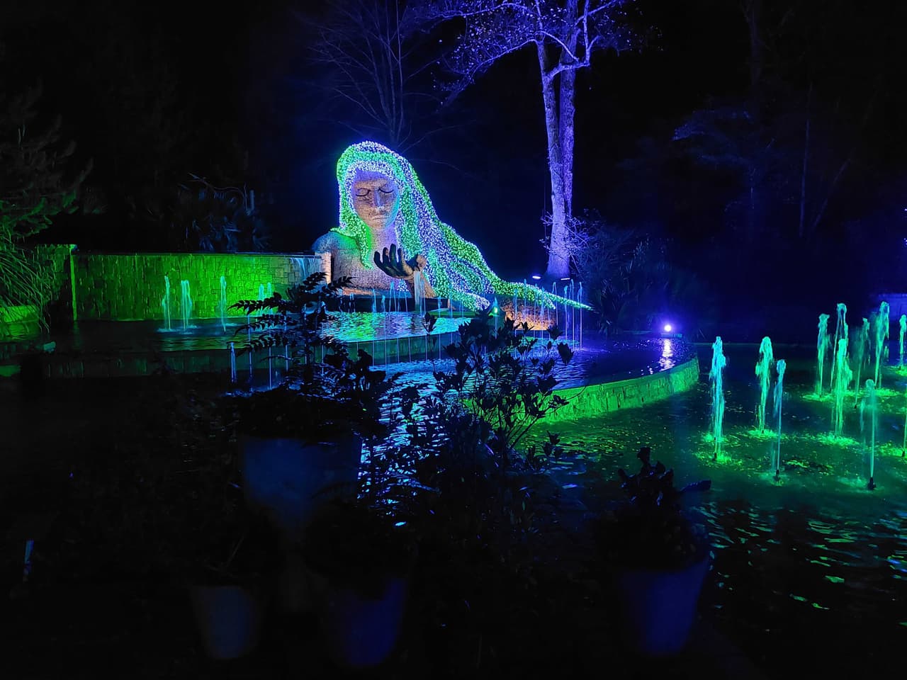 Uno de los mejores espectáculos de la temporada en Metro Atlanta estará disponible hasta el 15 de enero.