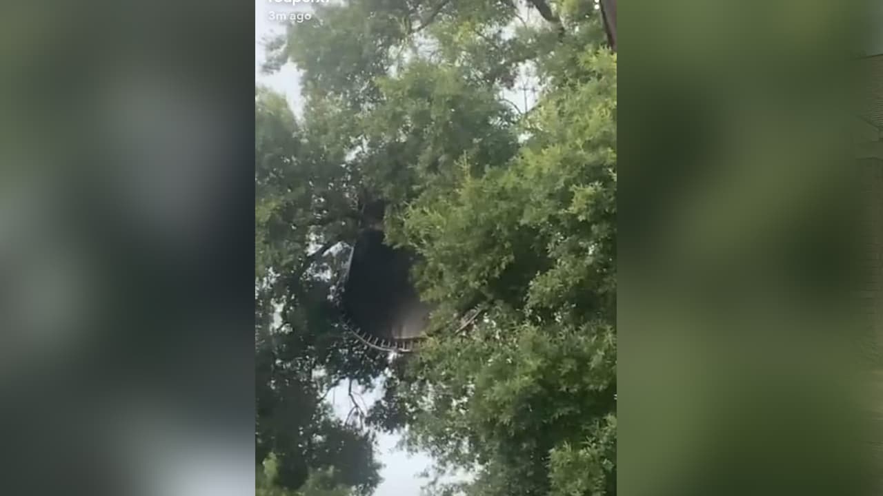 Miguel Pérez - "Hasta el trampolín quedó en los árboles".