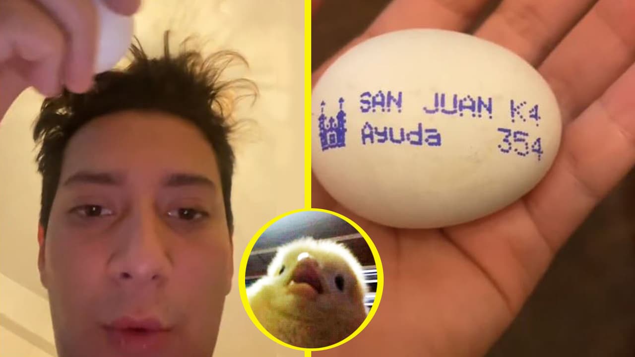 Joven descubre alarmante mensaje de auxilio en un huevo e internautas reaccionan: a ellos también les pasó