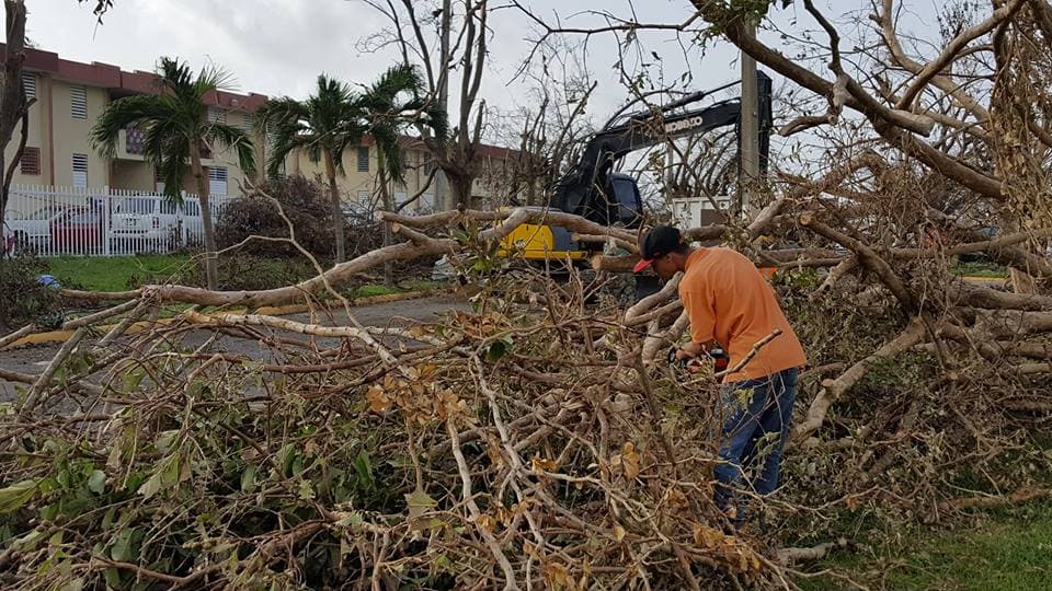 Personal del municipio trabaja para limpiar las vías de acceso.