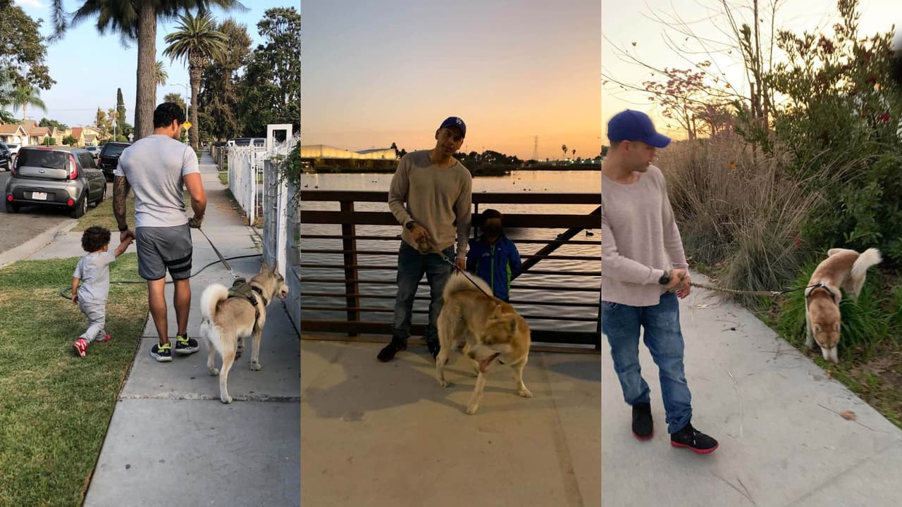 Autoridades buscan al responsable de la muerte de Ruso, un husky de 9 años hallado colgado de una correa en Lynwood.