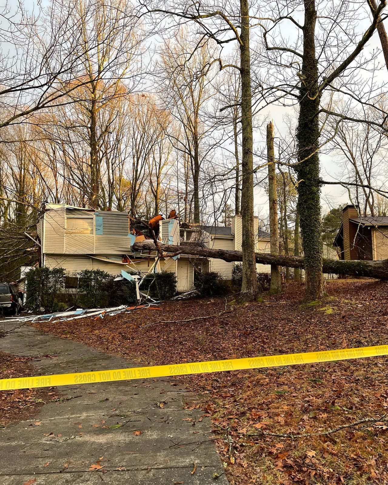 Además, cayeron árboles en la carretera y en las casas.