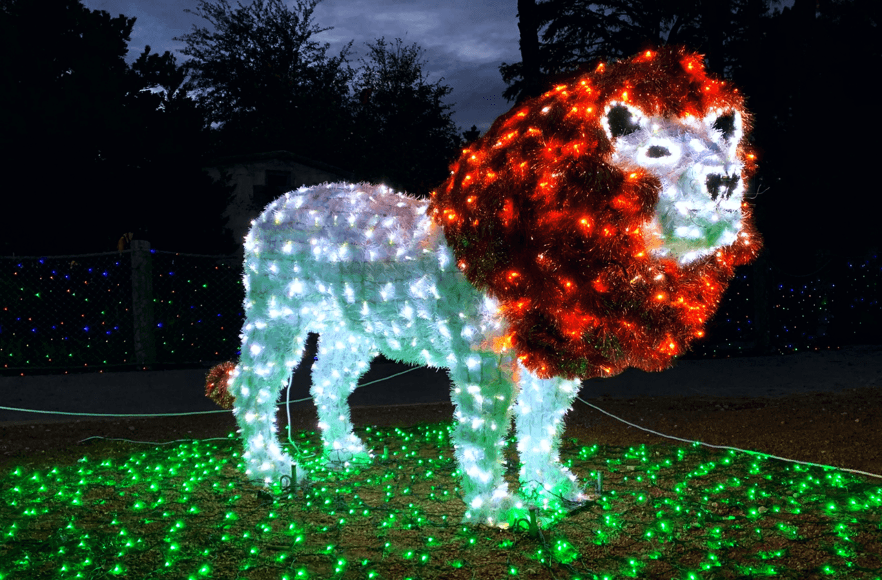El zoológico de San Antonio llevará a cabo la celebración anual de las luces del zoológico y este año también incluye esculturas de ladrillos LEGO.
