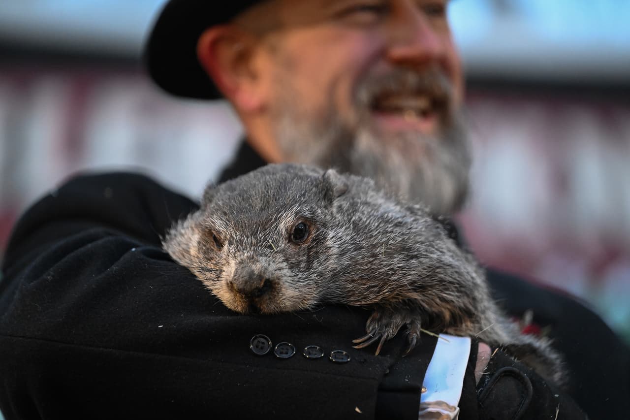¿Punxsutawney Phil se equivoca? Pronóstico de marmota de Canadá dice cuándo llega la primavera 2026