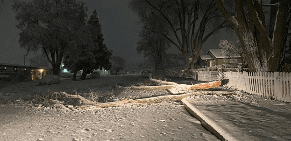 El personal de obras públicas de la ciudad se encuentra trabajando desde las 12:30 am sacando nieve, árboles y ramas de las carreteras.