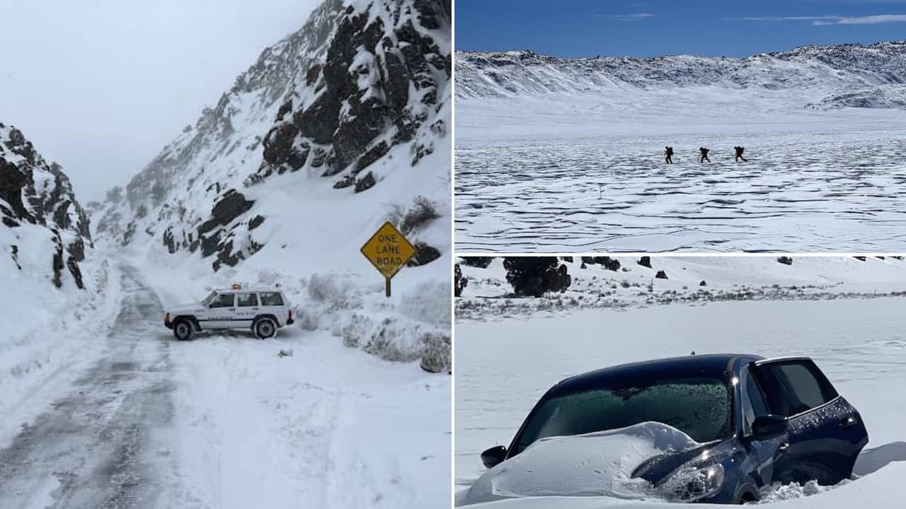Hombre sobrevive una semana atrapado bajo la nieve en California