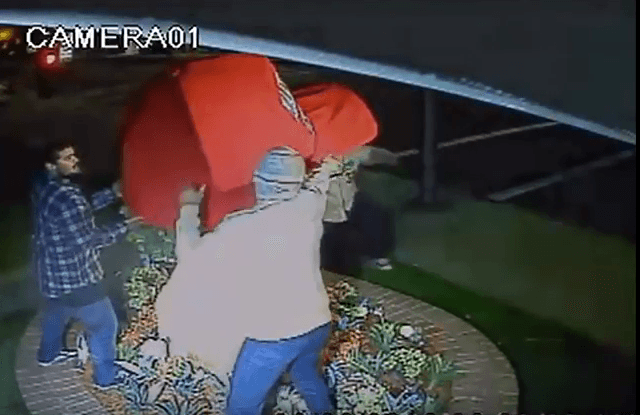 Roban una gigantesca gorra inspirada en Donald Trump