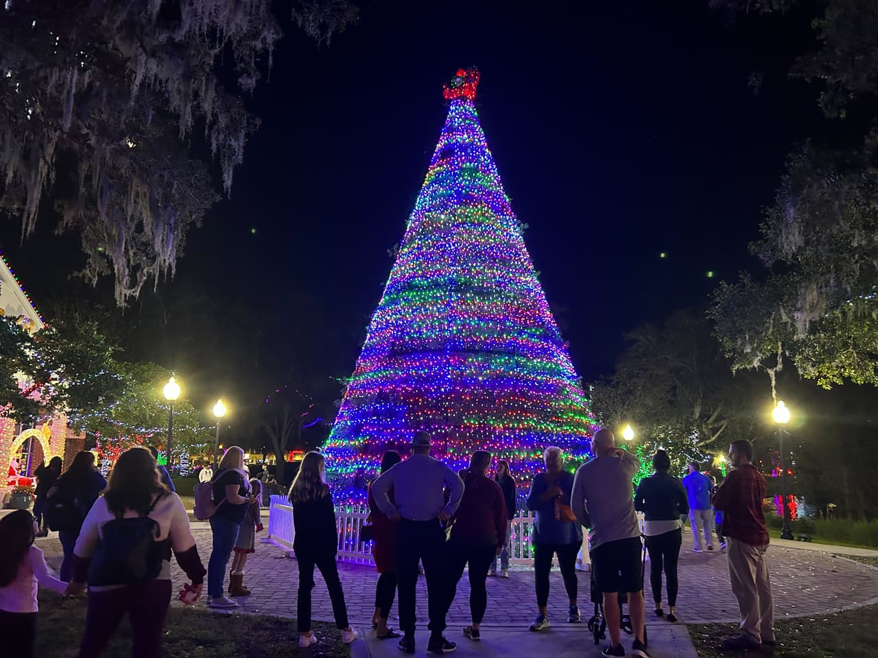 Como cada año, Lake Mary decora su hermosa plaza en el centro de la Ciudad con miles de luces y un enorme árbol de Navidad.
