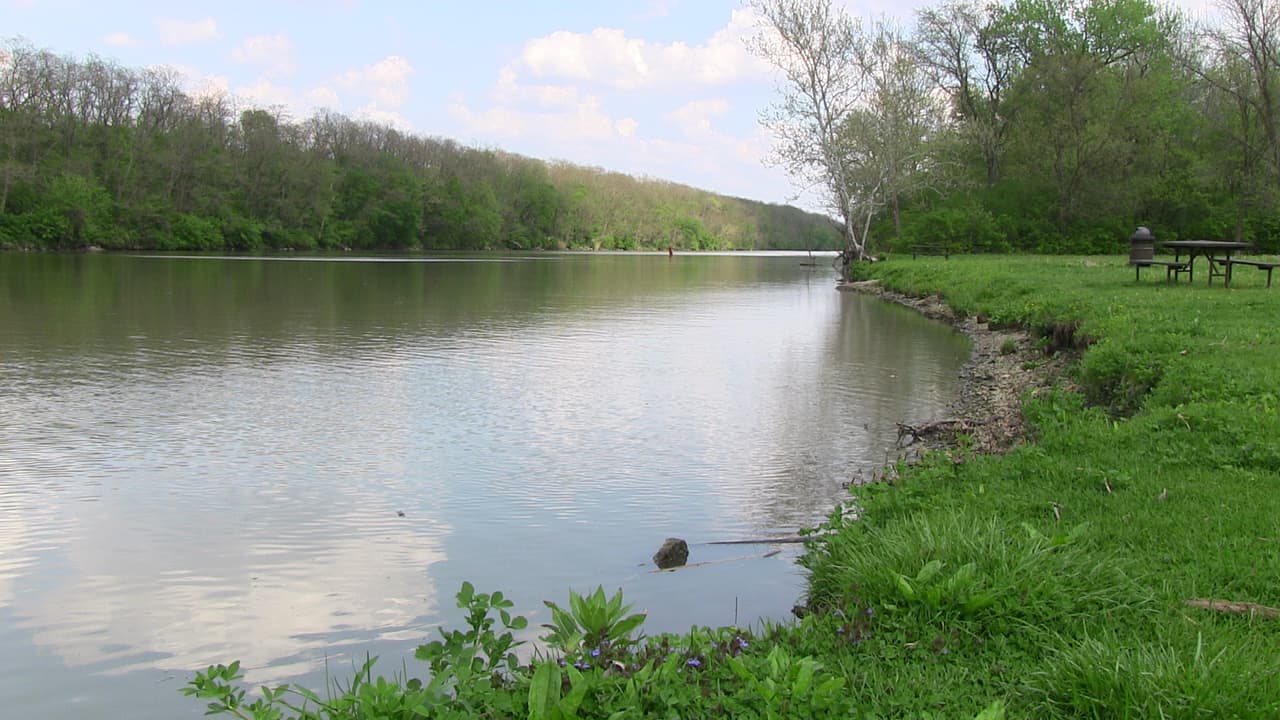En
<b>Franklin Park</b> se desarrollarán diversas actividades que van desde paseos de observación de aves hasta talleres de cocina sostenible, recolección de alimentos silvestres y actividades artísticas para toda la familia.