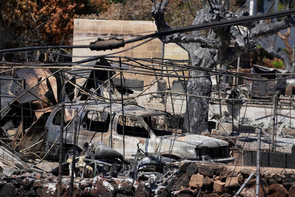 Estaban en el asiento trasero del auto calcinado: la historia del hombre y el perro que no pudieron escapar de las llamas en Maui