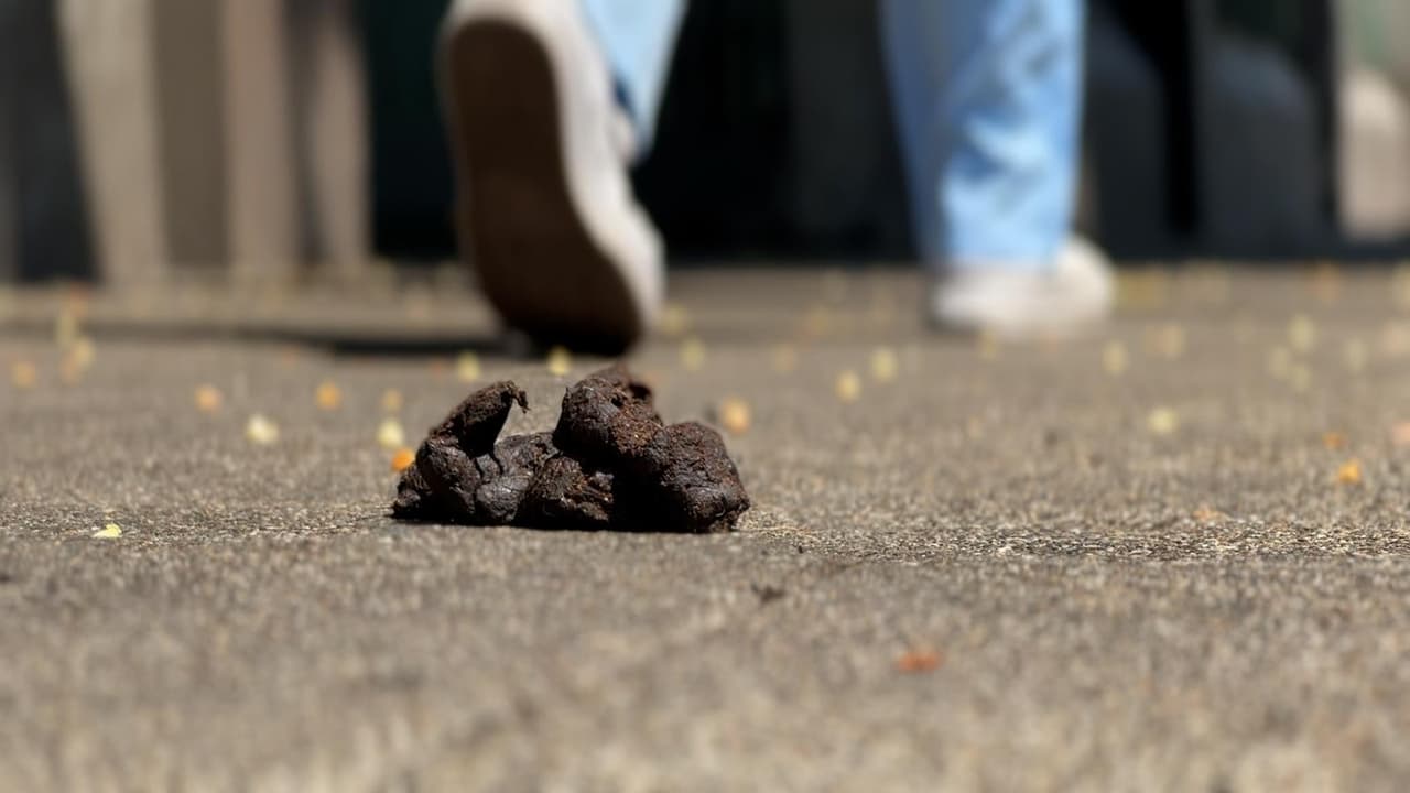 Vivir en Tenderloin también implica esquivar heces humanas y acostumbrarse al sonido constante de las sirenas. Esta es la realidad que enfrentan los residentes de Tenderloin, donde el fentanilo se ha convertido en su vecino.