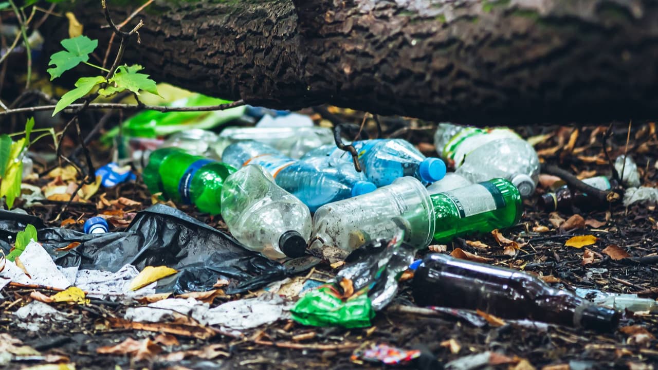 Media tonelada de basura, la evidencia que dejó un hombre que vivió por años en el Bosque Nacional Tonto