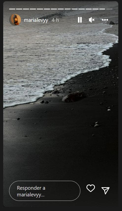 Por ejemplo, con su cámara pudo captar este momento en la playa.
<br>