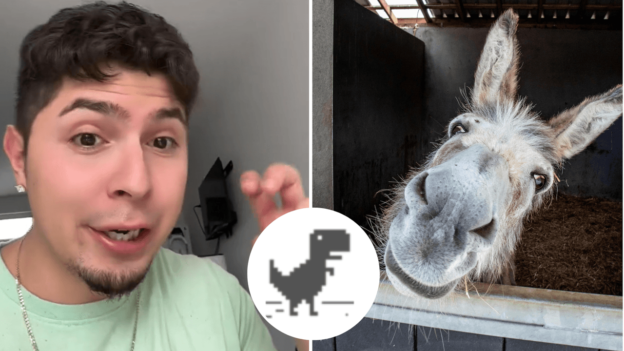 ¿“Burros de Wi-Fi”? Joven es cuestionado si en México hay Internet y TikTok aplaudió su respuesta