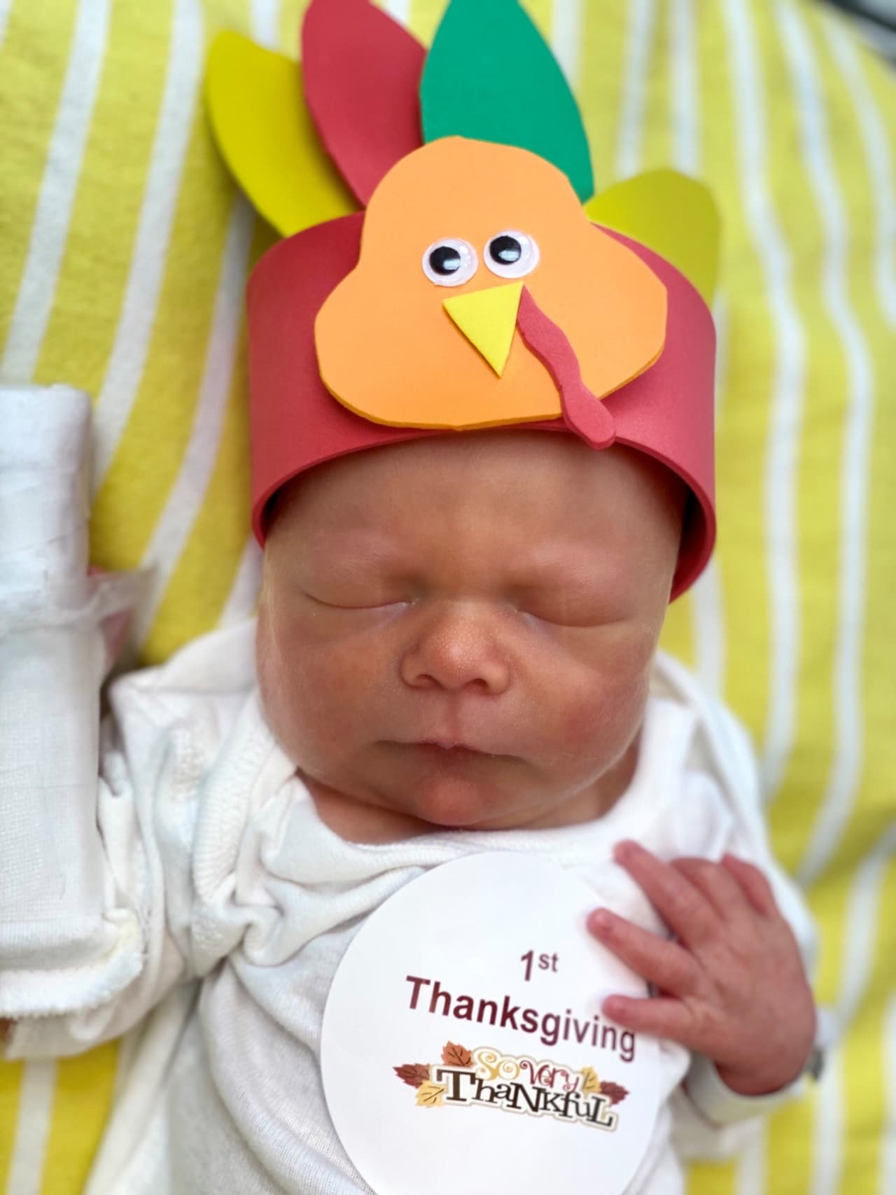 Athens porta un sombrero de pavo hecho a mano y así anuncia su primer Día de Acción de Gracias.