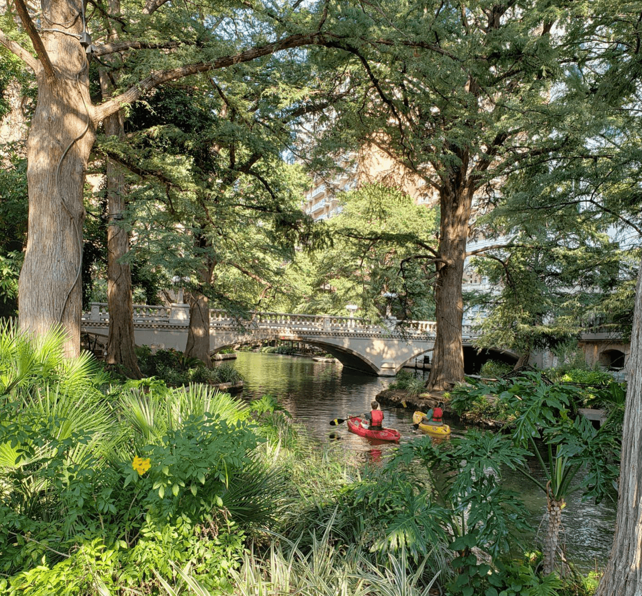 Mission Adventure Tours promete una experiencia espectacular en este raro privilegio de remar en el River Walk.